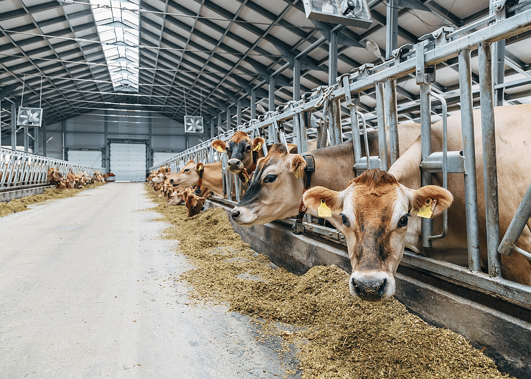$16.5 billion in direct farm payments