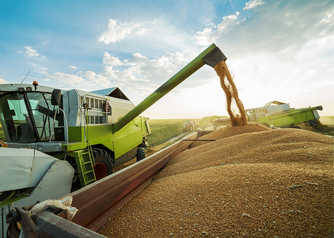 The invention of the wheat combine in 1934 changed farming forever
