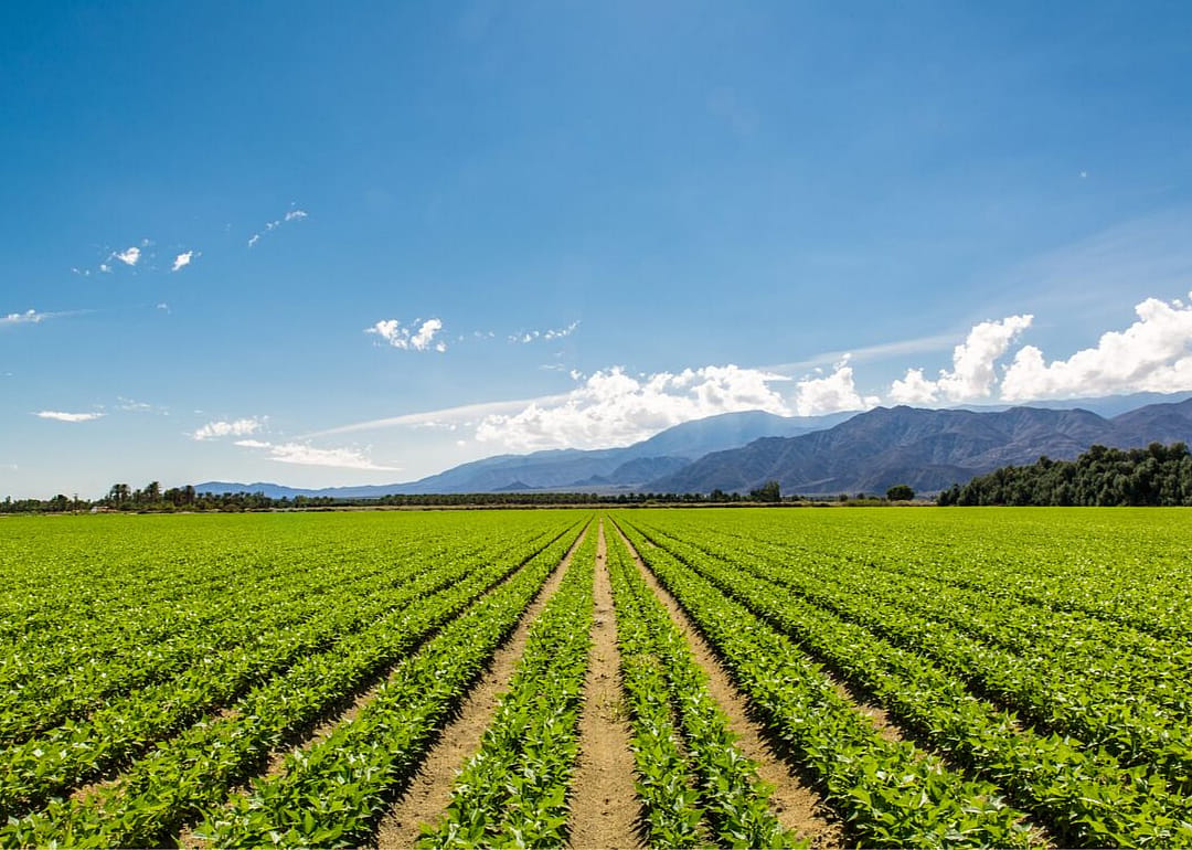 California farms 20% of America's organic land