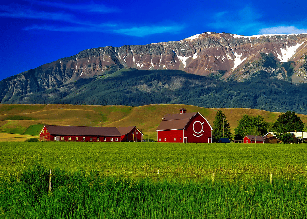 #46. Oregon