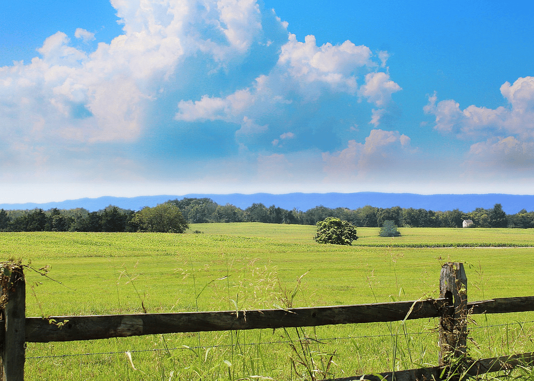 #8. Virginia