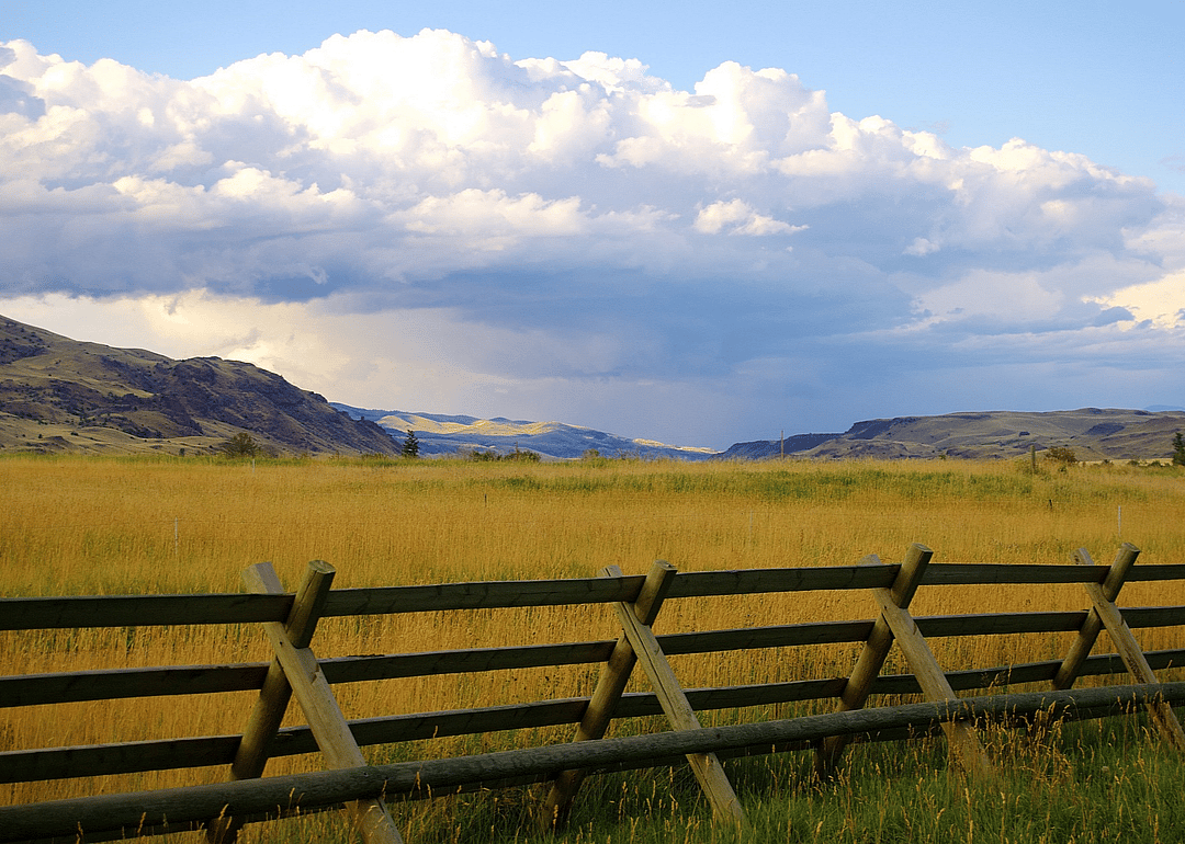 #33. Montana