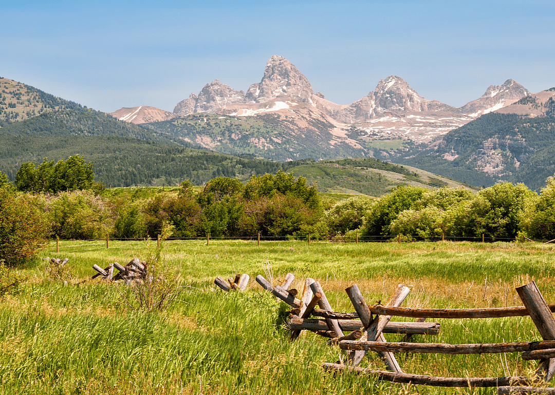 #47. Idaho