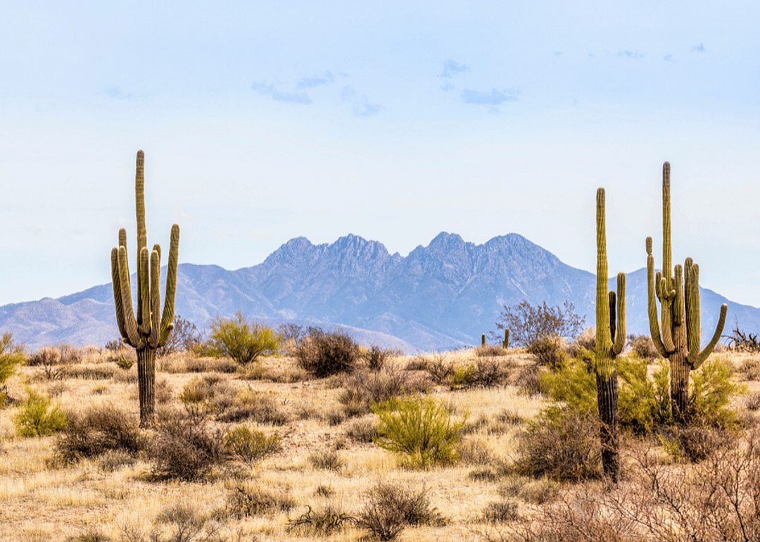 #34. Arizona