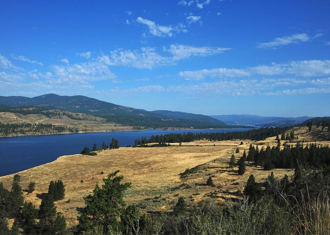 #1. Ferry County