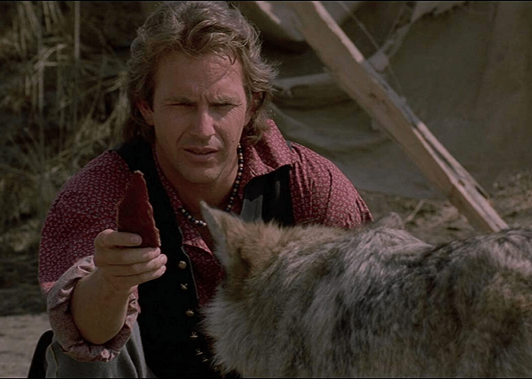 #28. Dances With Wolves (1990)