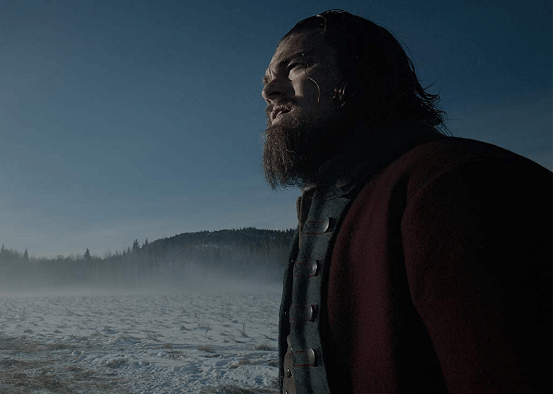#23. The Revenant (2015)
