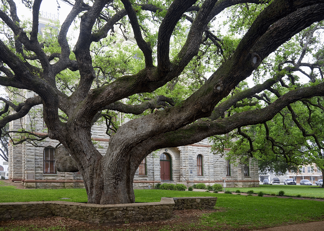 #18. Goliad County (tie)