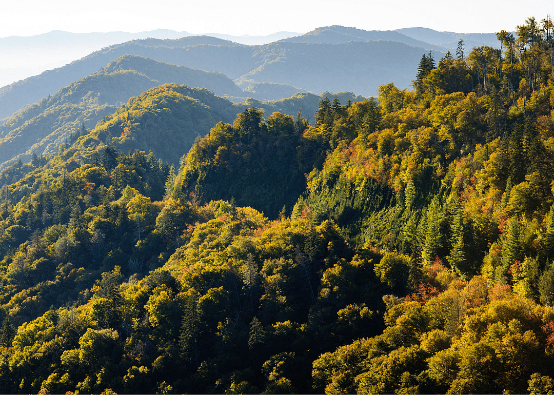 #3. Great Smoky Mountains National Park (North Carolina, Tennessee)