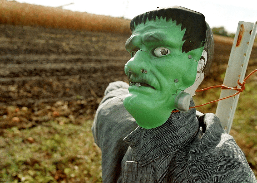 Rise of latex masks