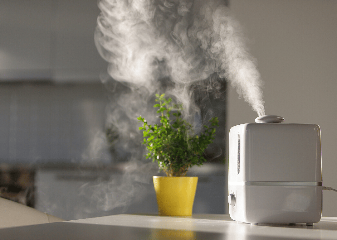 Pay attention to humidity levels
