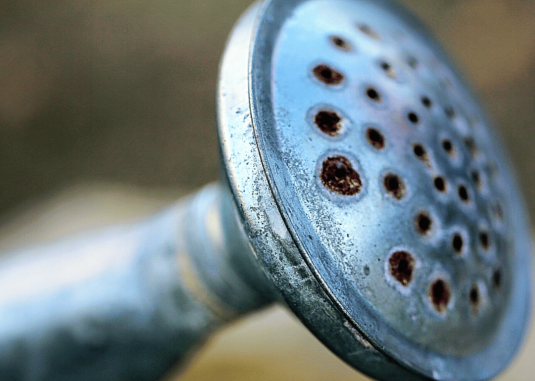 Don't water at summer rates