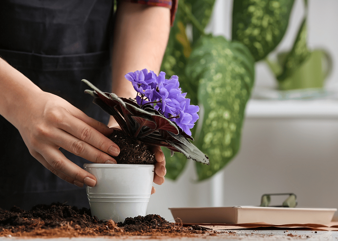 Wait until spring to repot