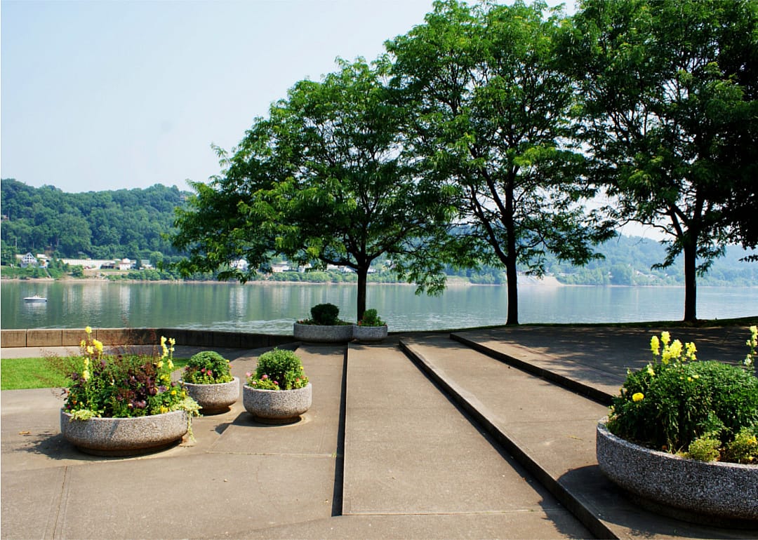 Green trees in the foreground with the river and mountains in the background.