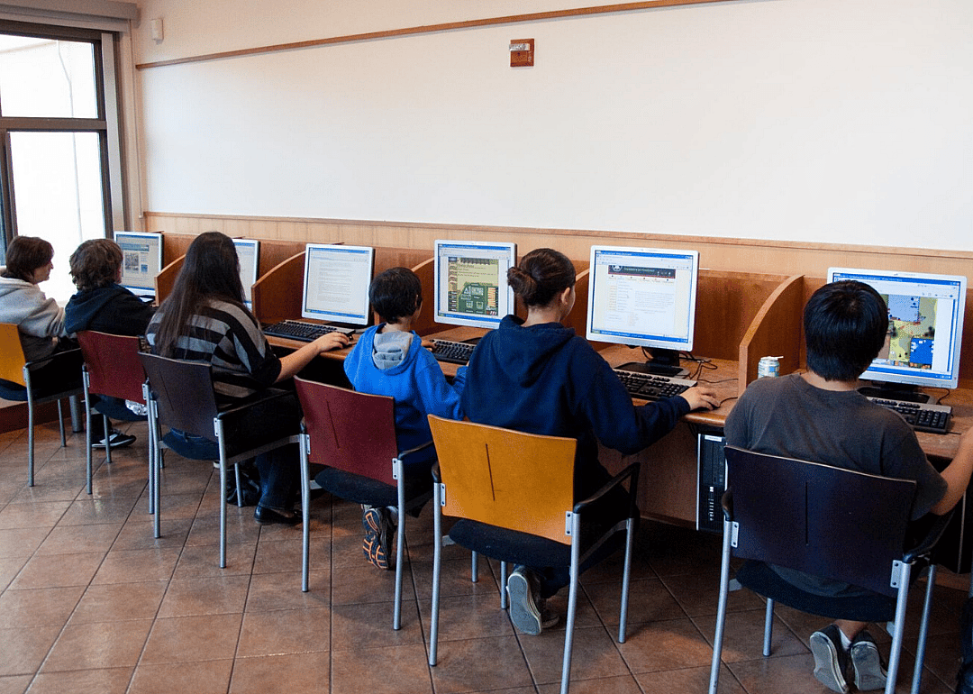 One-quarter of Americans access the internet via public library