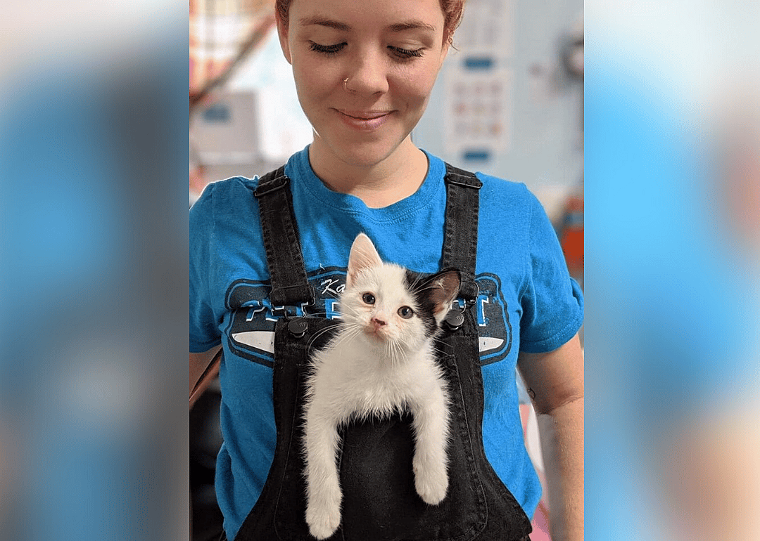 Missouri: KC Pet Project