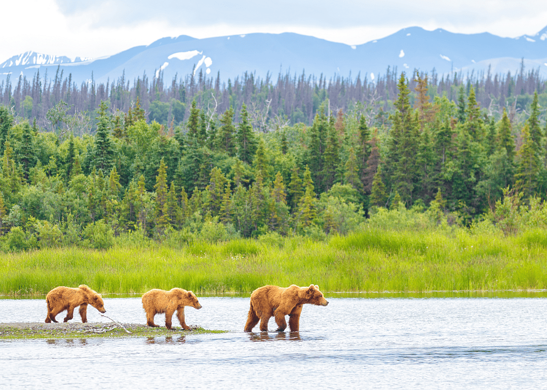 #2. Katmai National Park (Alaska)