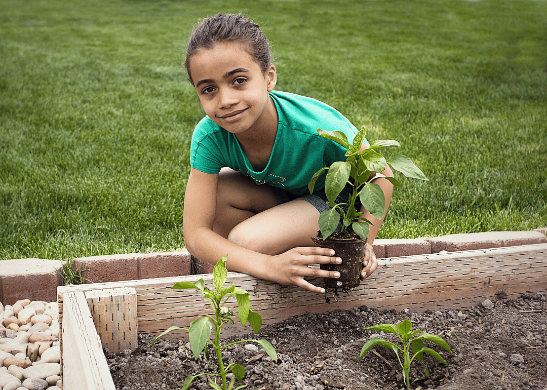 Plant a garden