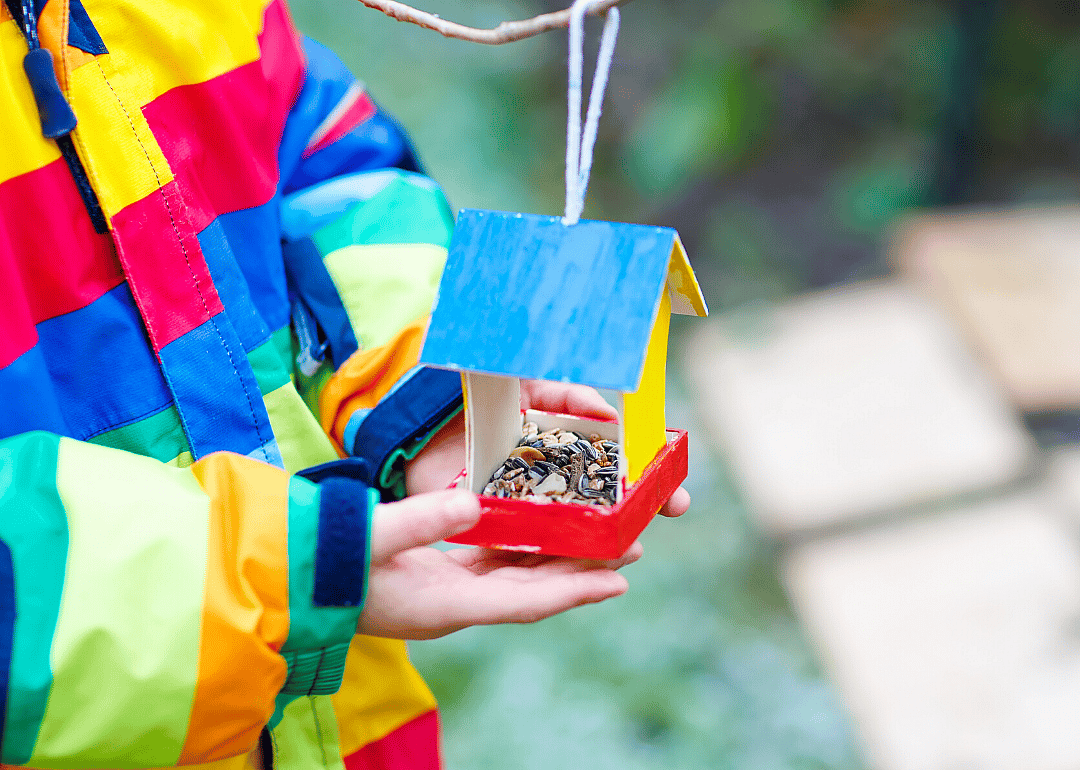 Make a bird feeder