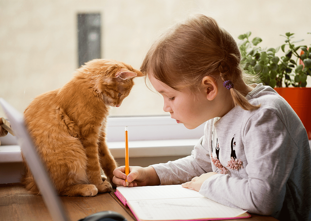 Create an animal fact sheet