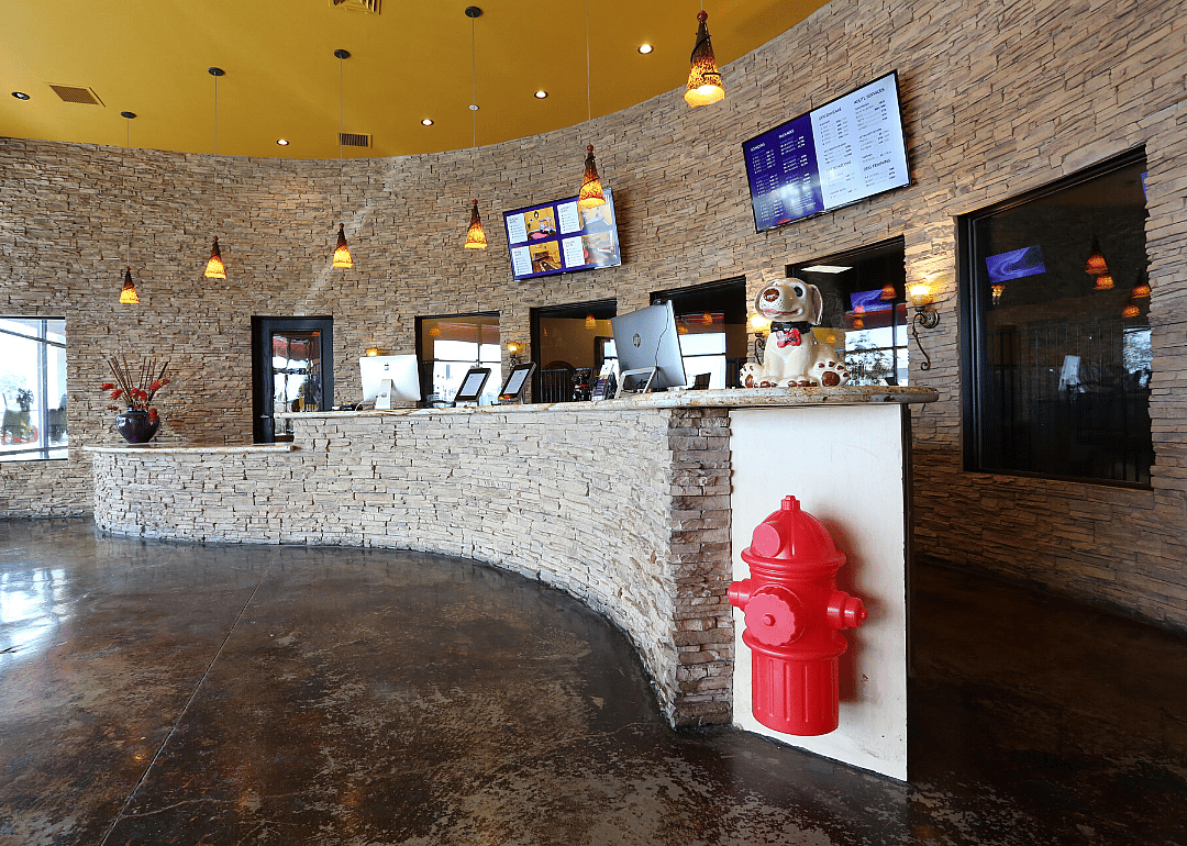 Las Vegas Dog Resort