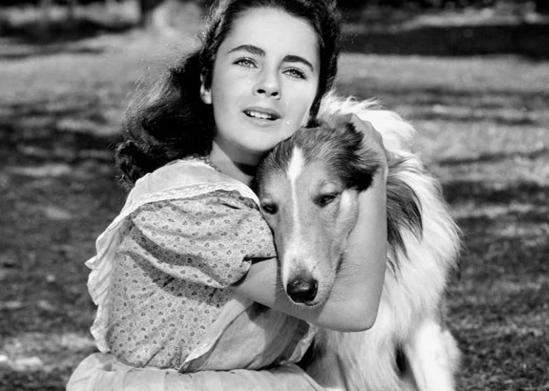 #72. Lassie Come Home (1943)