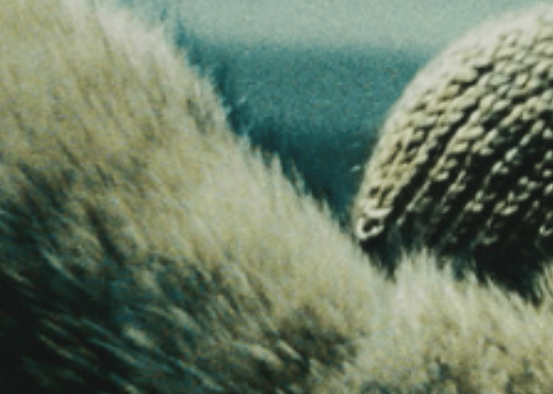 Braids and a fur coat.