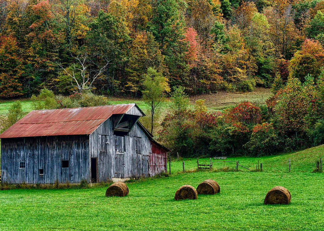 #11. Lewis County