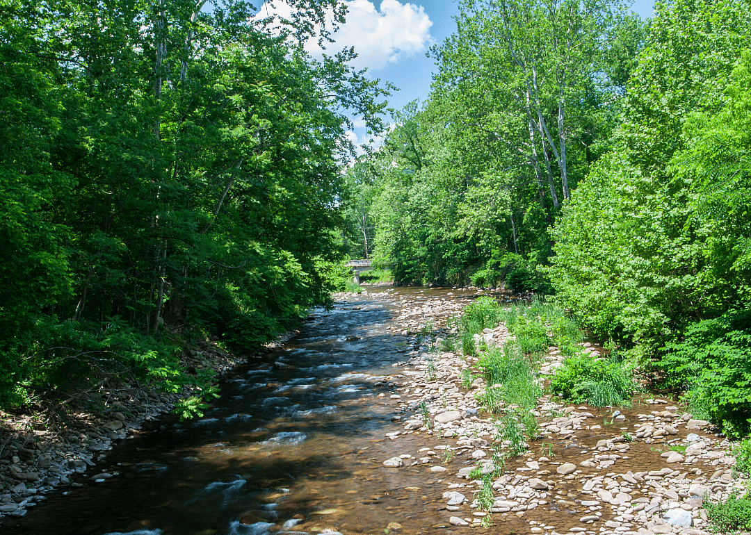 #52. Lincoln County