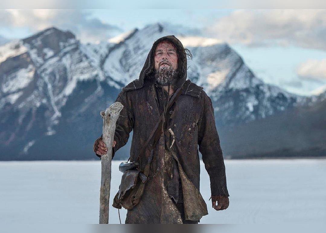 #8. The Revenant (2015)