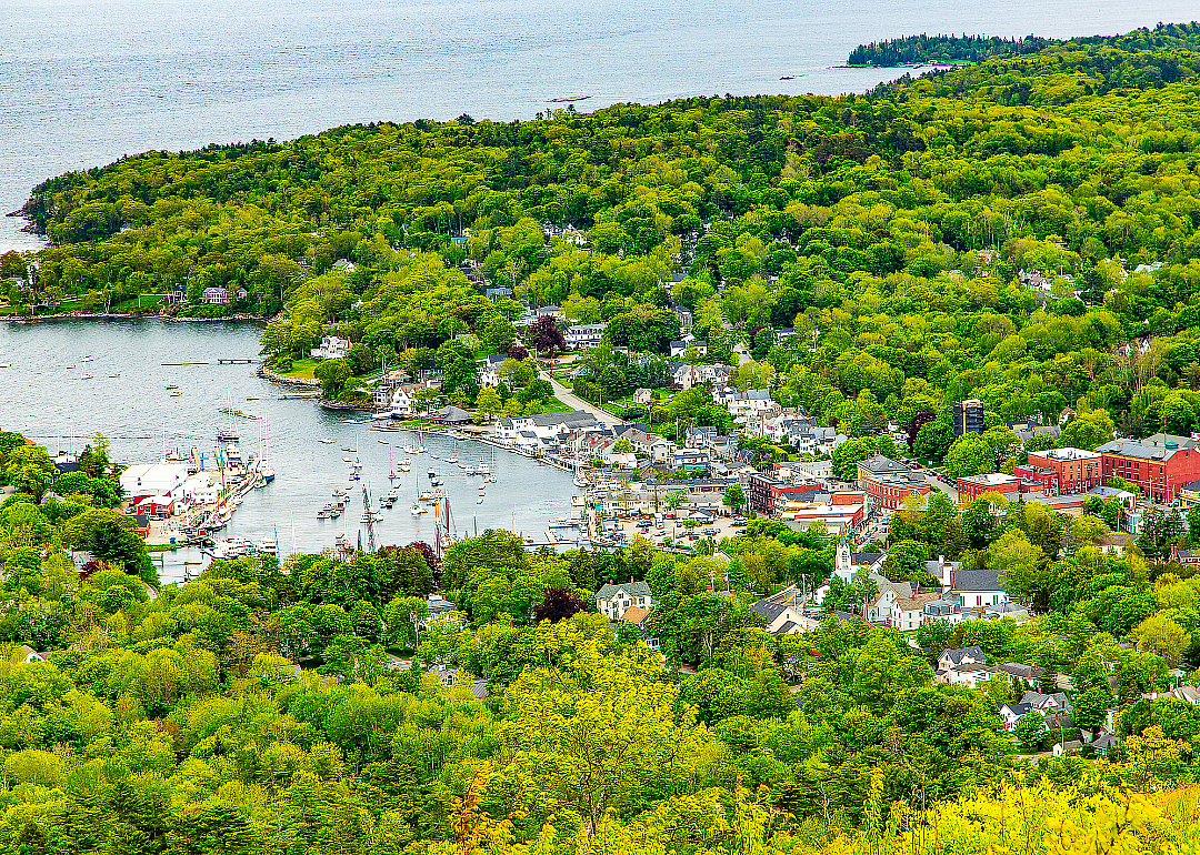 Town on the water in lush green surroundings.