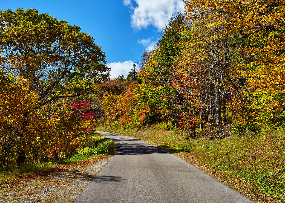 #5. McDowell County