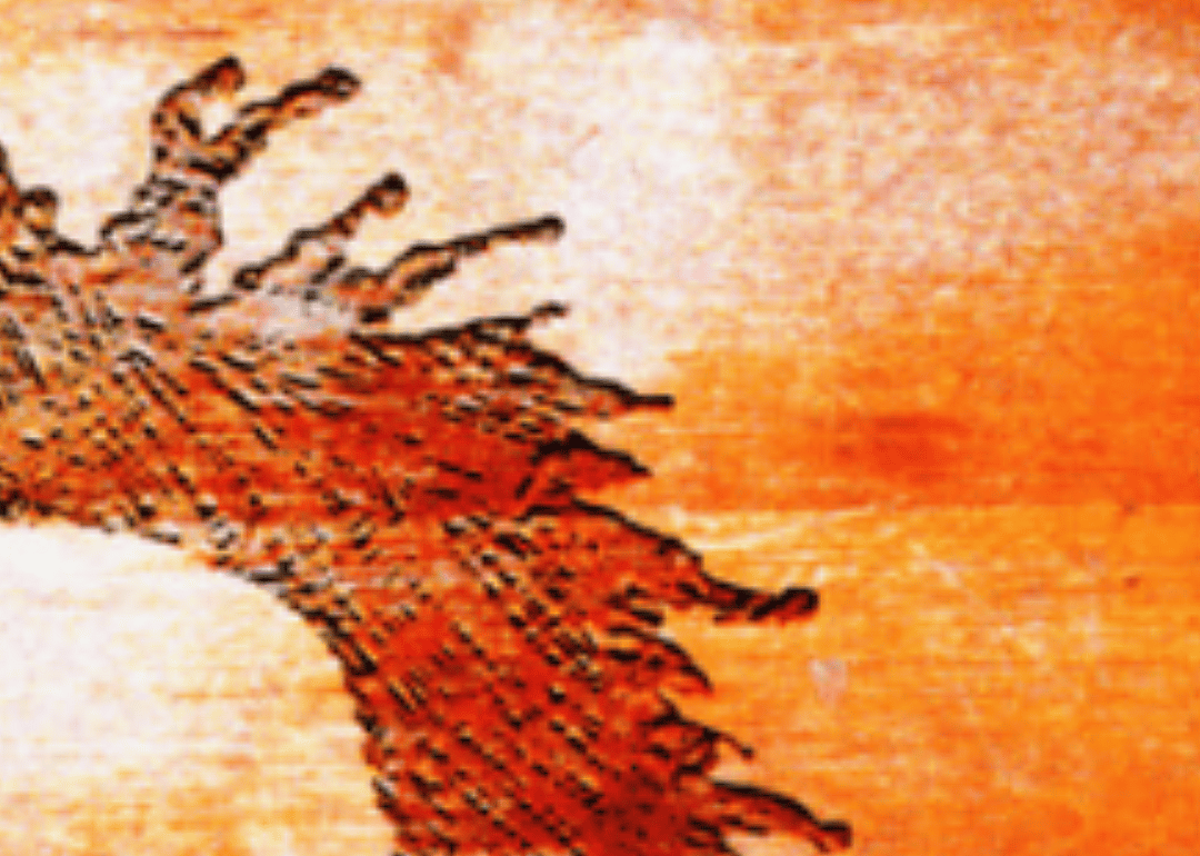 Abstract orange and brown shapes resembling flames.