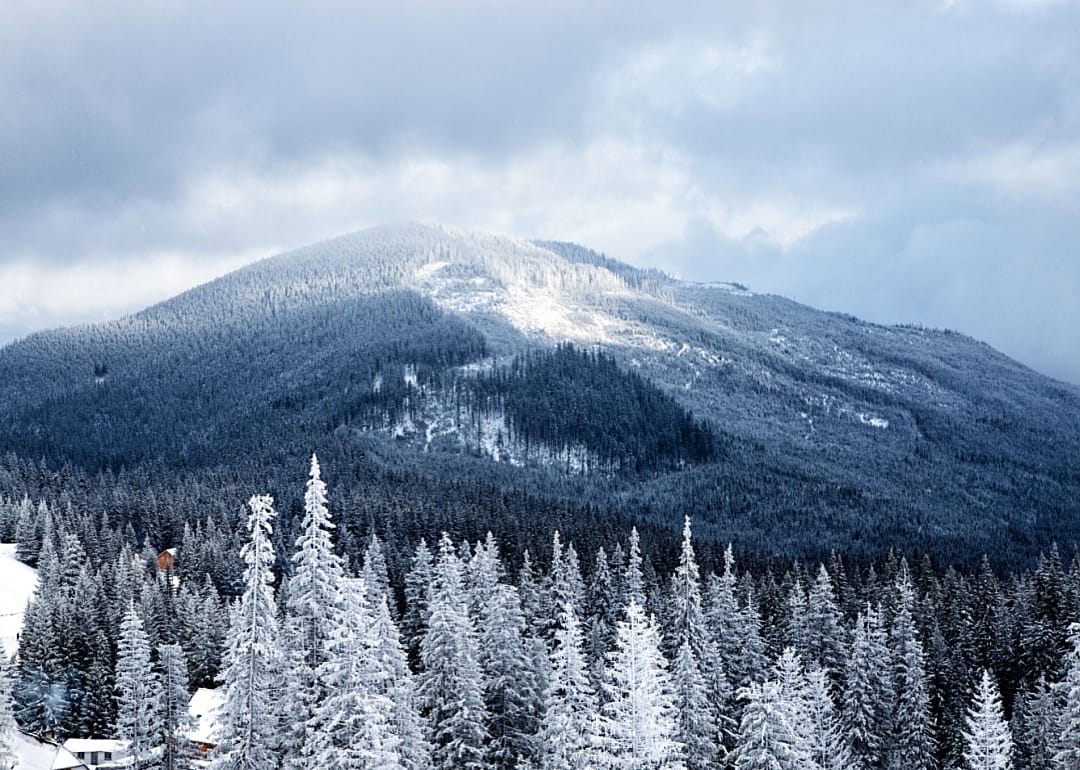 A tall mountain covered in snow with a valley landscape in the foreground.