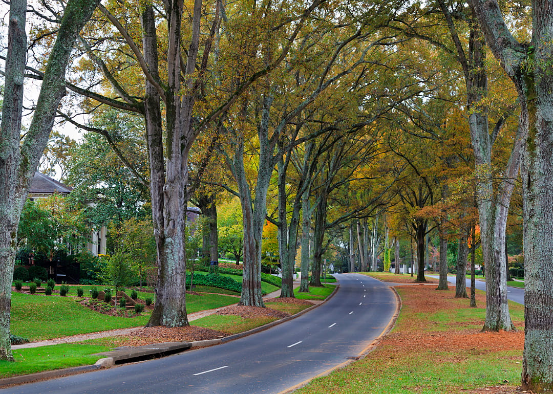 #34. North Carolina