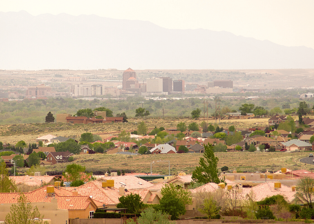 #32. New Mexico