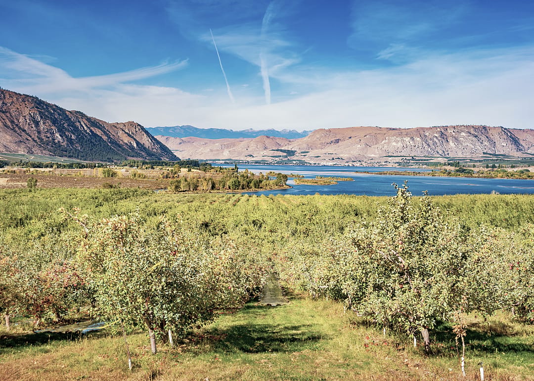 #15. Okanogan County
