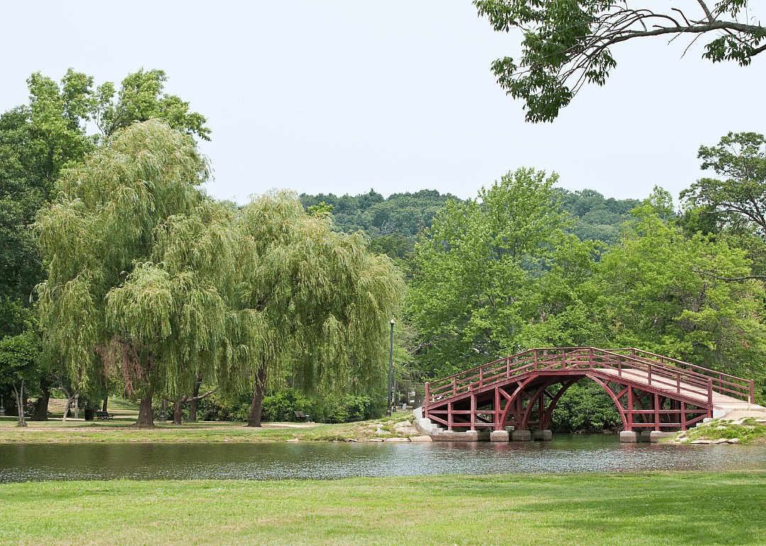 A bridge and willow tree in a park.