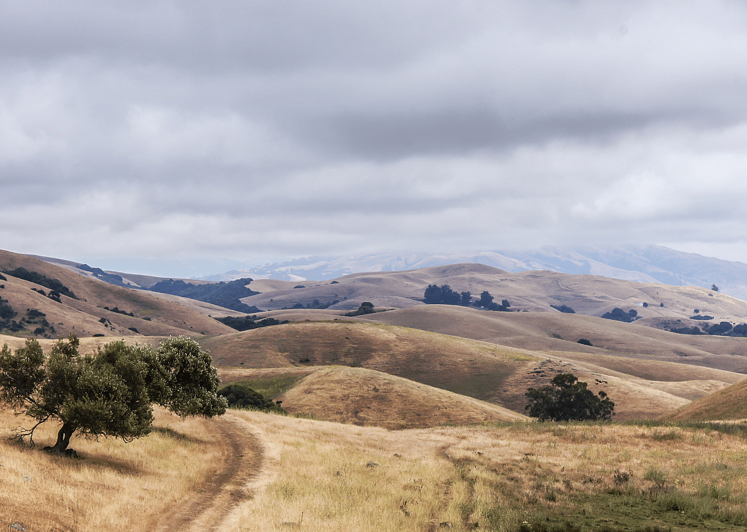 A trail in the grassy foothills.