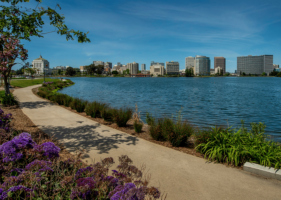 Flowers on a trail by a lake in Oakland.