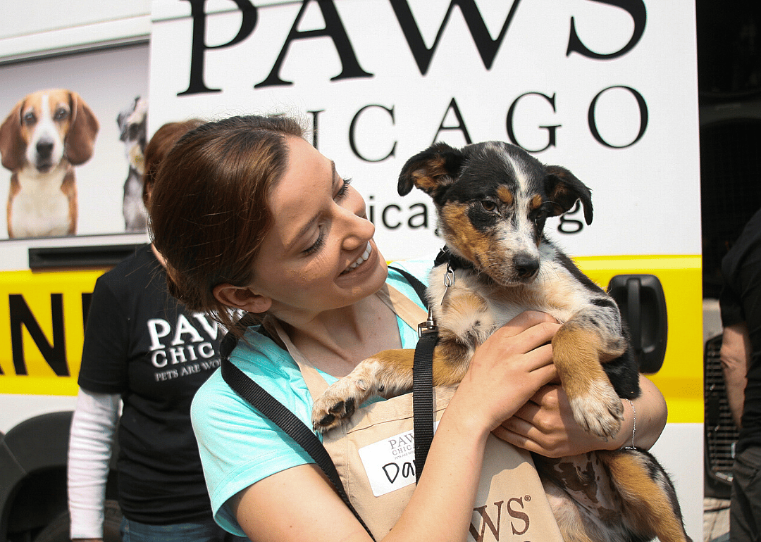 Illinois: PAWS Chicago