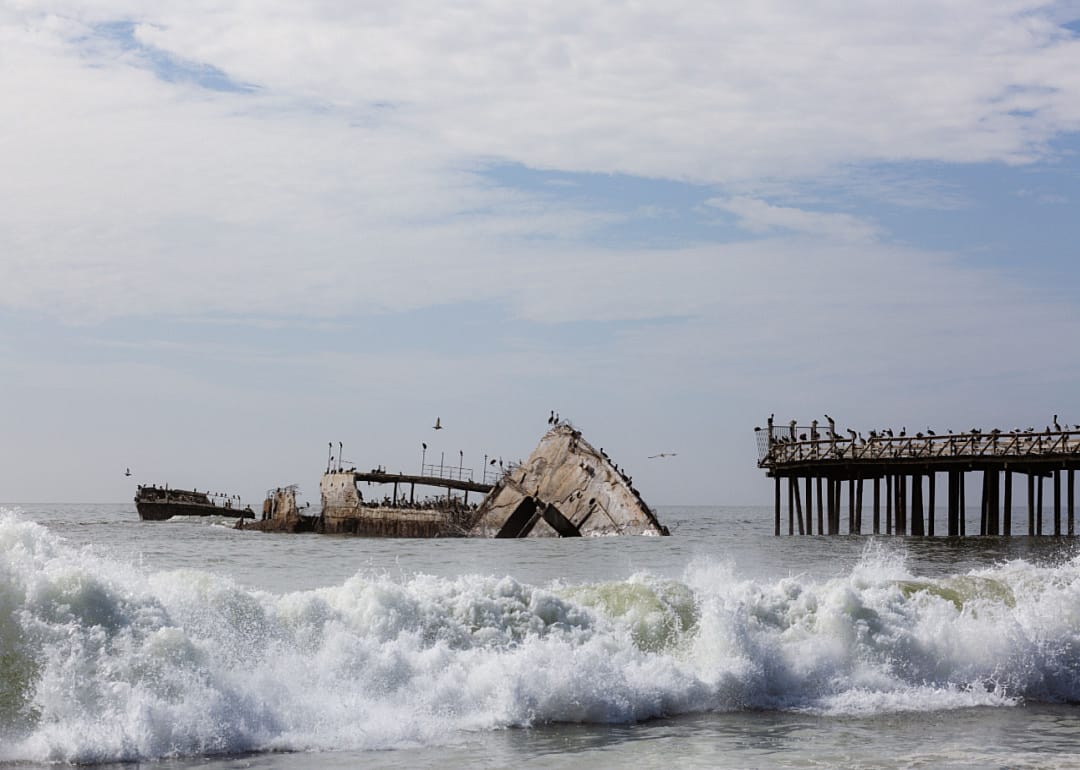 Birds circle the SS Palo Alto, a concrete ship built as a tanker at the end of World War I.