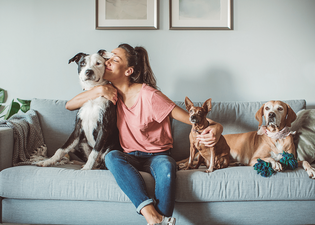 A woman and three dogs snuggling on the couch.