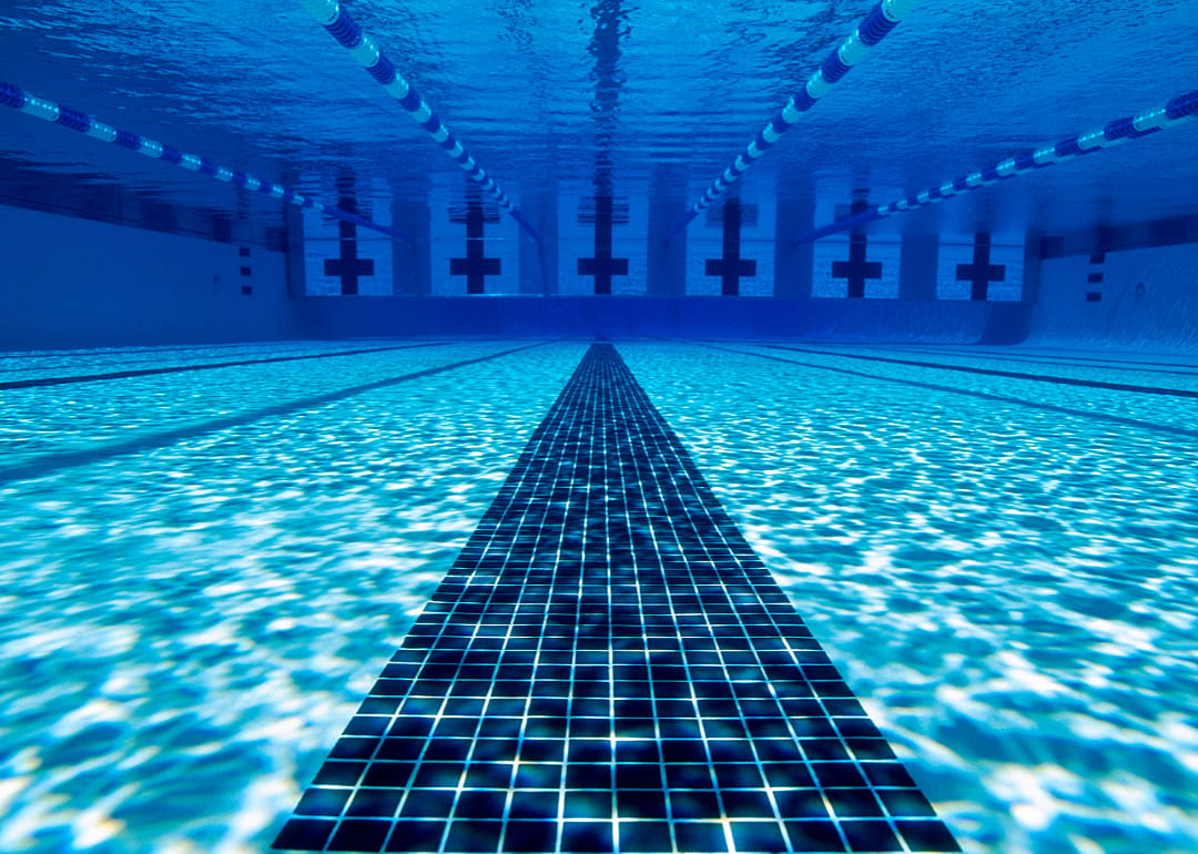 #15. School of Fish Swim and Scuba