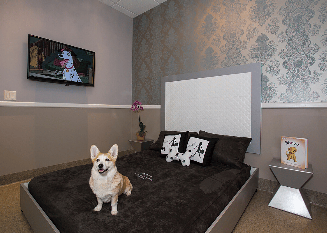Posh Pet Hotel