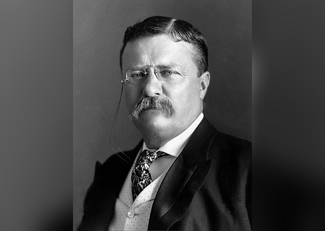 #4. Theodore Roosevelt