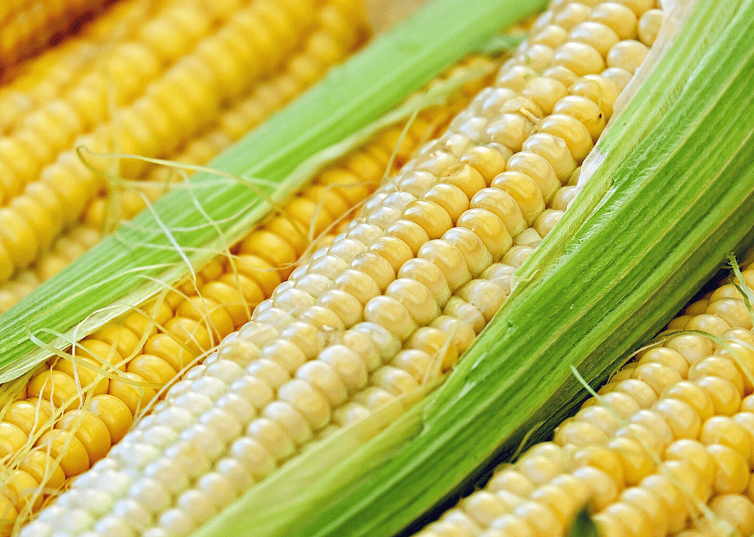 Iowa