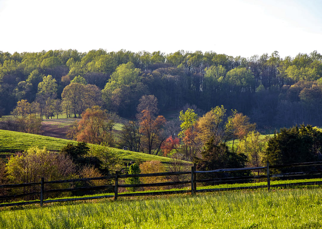#11. Ritchie County