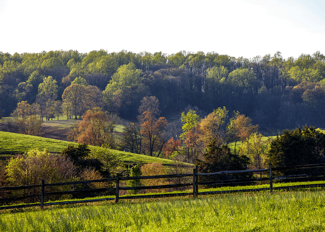 #22. Ritchie County