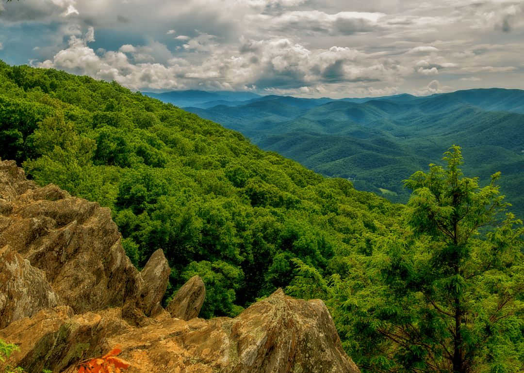 #22. Roane County